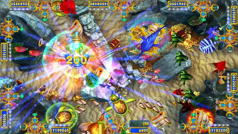 Chu kỳ hoạt động của cá boss